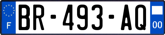 BR-493-AQ