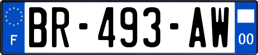 BR-493-AW
