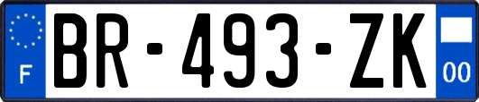 BR-493-ZK