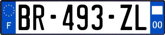BR-493-ZL