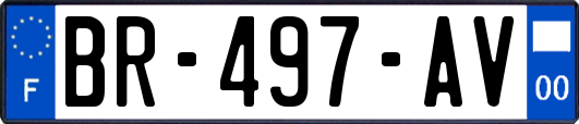 BR-497-AV