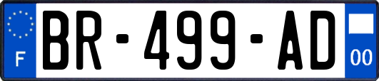 BR-499-AD