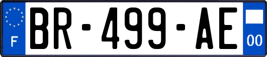 BR-499-AE