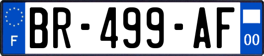 BR-499-AF