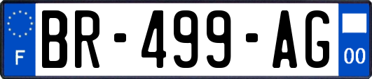 BR-499-AG