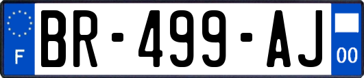 BR-499-AJ