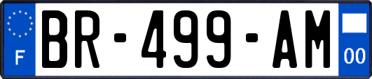 BR-499-AM