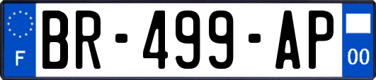 BR-499-AP