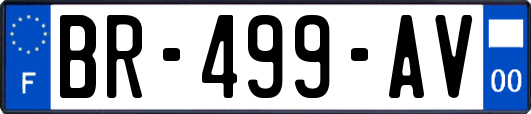 BR-499-AV