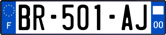 BR-501-AJ