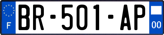 BR-501-AP