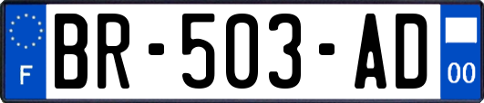 BR-503-AD