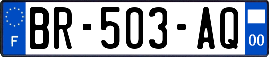 BR-503-AQ