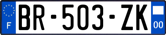 BR-503-ZK