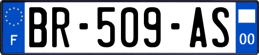 BR-509-AS