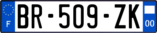 BR-509-ZK