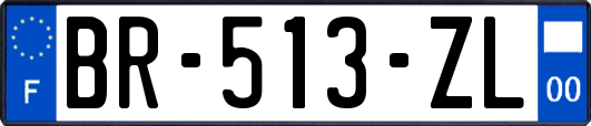 BR-513-ZL
