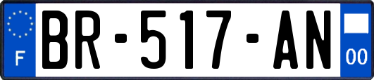 BR-517-AN