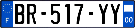 BR-517-YY