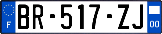 BR-517-ZJ