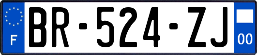 BR-524-ZJ