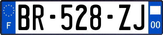 BR-528-ZJ