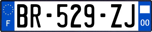 BR-529-ZJ