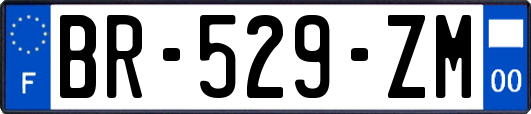 BR-529-ZM