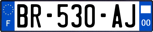 BR-530-AJ
