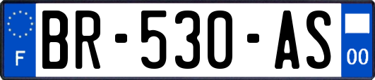 BR-530-AS