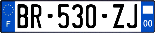 BR-530-ZJ