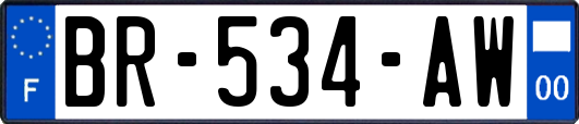 BR-534-AW