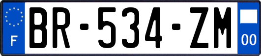 BR-534-ZM