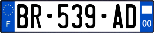 BR-539-AD