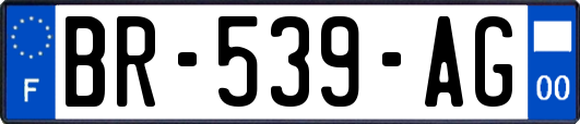 BR-539-AG