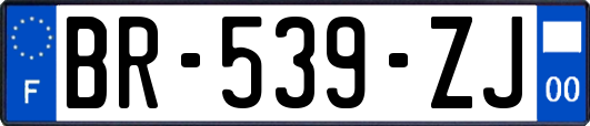 BR-539-ZJ