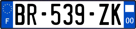 BR-539-ZK