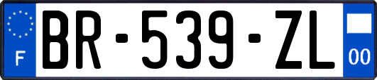 BR-539-ZL