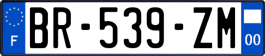 BR-539-ZM