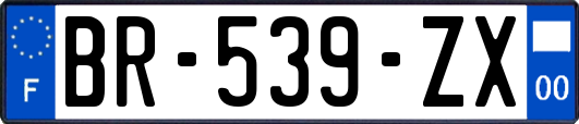 BR-539-ZX