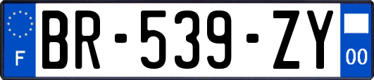 BR-539-ZY