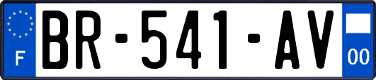 BR-541-AV