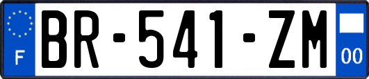 BR-541-ZM