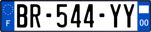 BR-544-YY