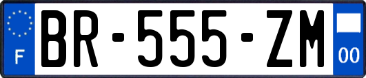 BR-555-ZM