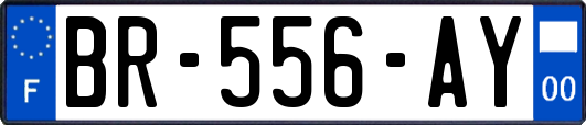 BR-556-AY