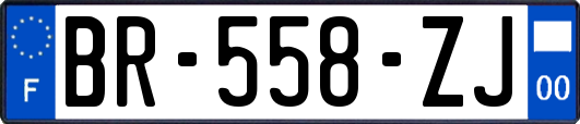 BR-558-ZJ