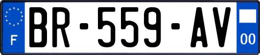 BR-559-AV