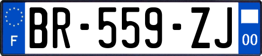 BR-559-ZJ