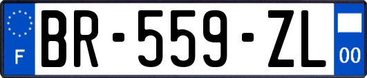 BR-559-ZL
